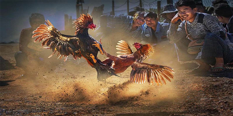 bk888 chơi bắn cá đổi thưởng