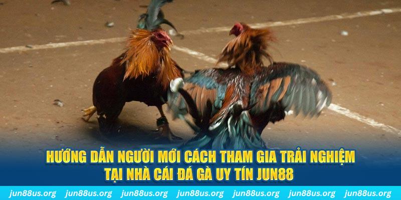 bk888 CQ9 Điện Tử