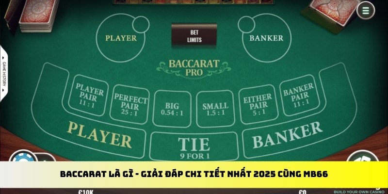 bk888 gà chọi cu cần