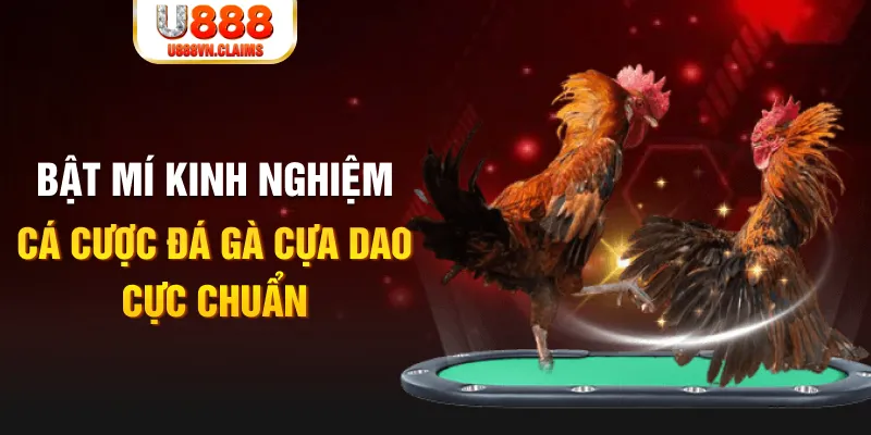 bk888 tỷ lệ cá cược châu á là gì