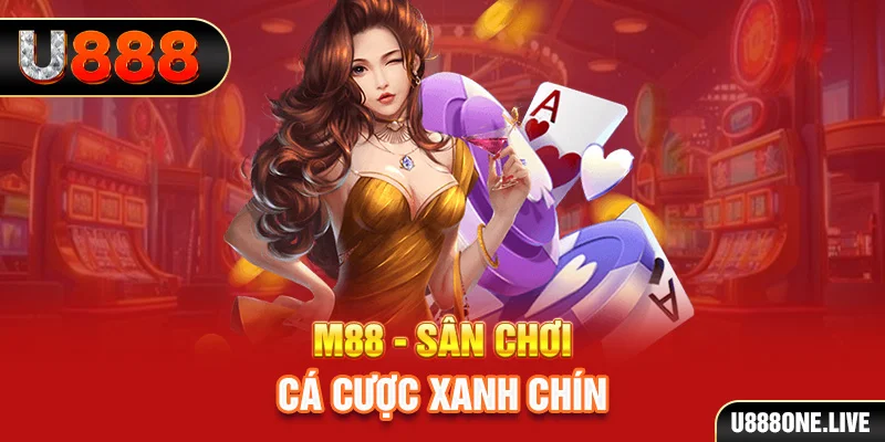 bk888 xổ số miền nam hàng tuần