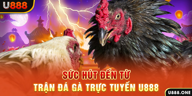 bk888 nổ hũ b29 là gì