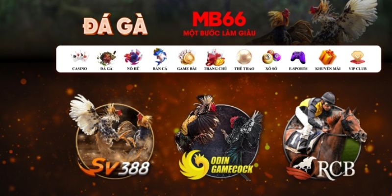 bk888 đăng nhập poker số 1