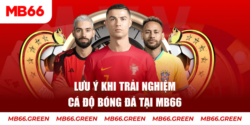 bk888 cá cược là gì