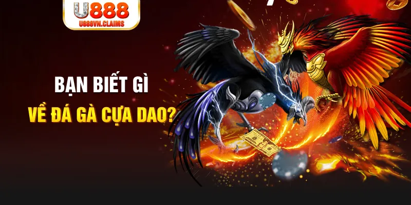 bk888 nổ hủ là gì