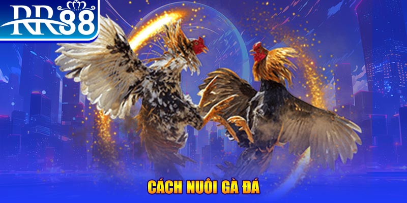 bk888 xổ số an giang