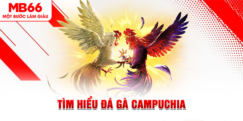 bk888 game đánh bài trên máy tính