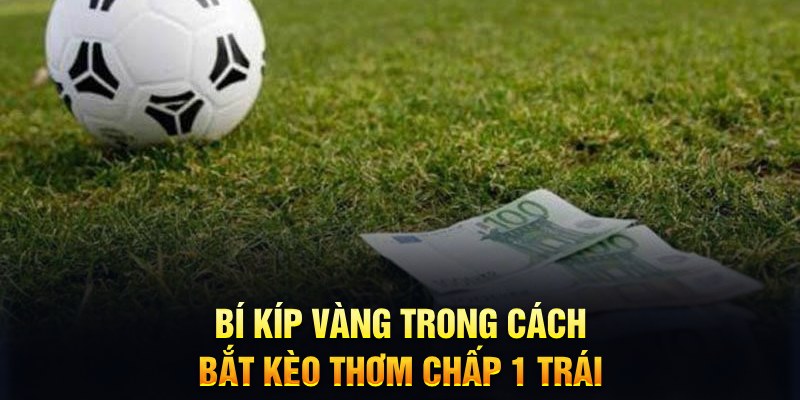 bk888 sổ xô miên bắc