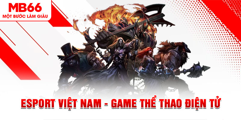 bk888 what are the most popular casino games