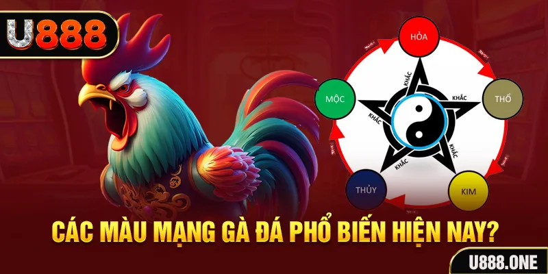 bk888 trực tiếp đá gà 88