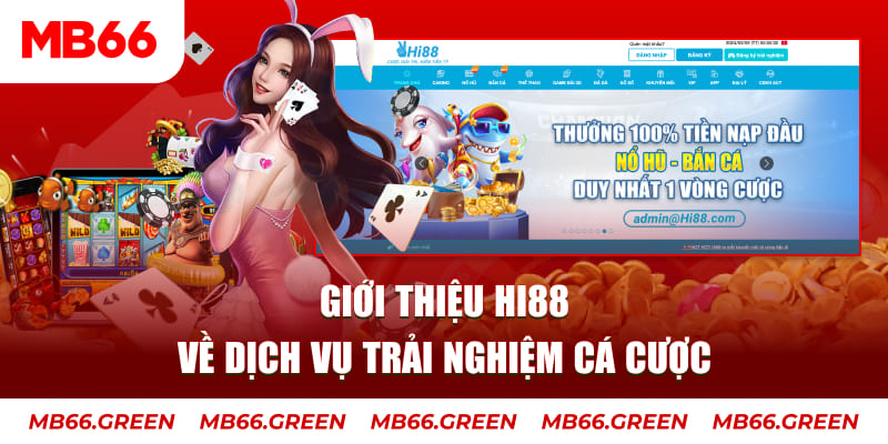 bk888 ga choi hoa phong