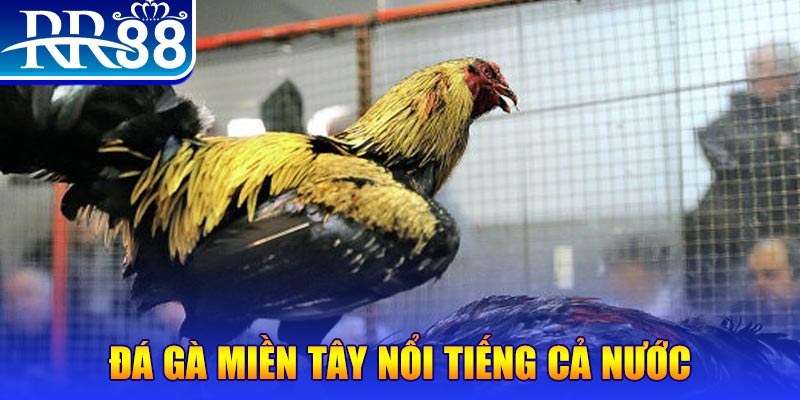 bk888 JILI Game Bài 3d