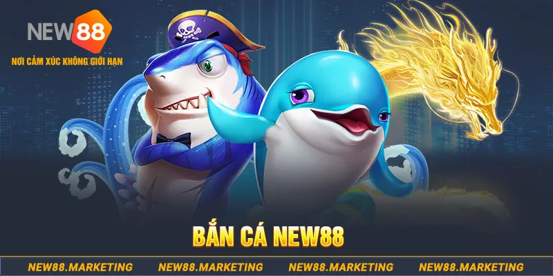 bk888 ban ca xeng 2