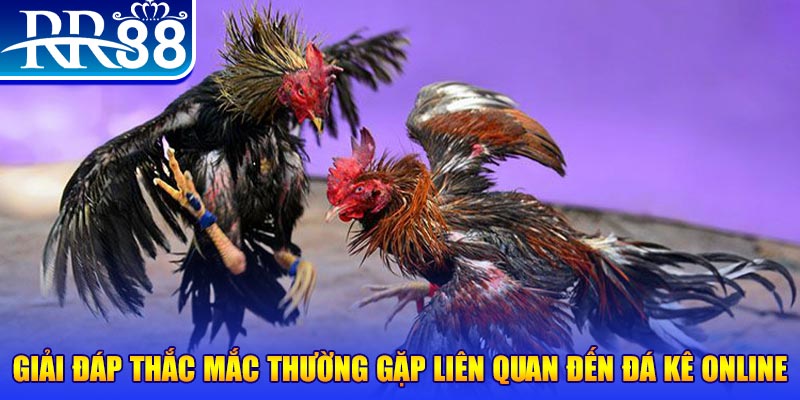 bk888 xổ số đà lạt
