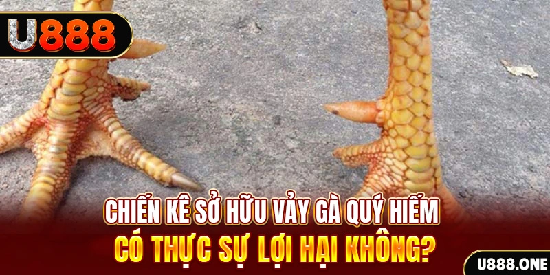 bk888 nohu .mx nổ hủ là gì