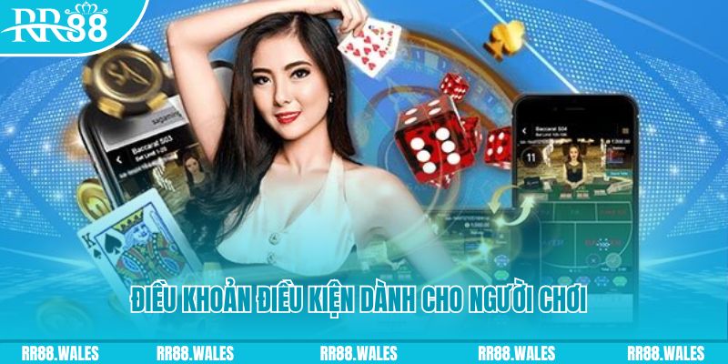 bk888 casino gồm những gì