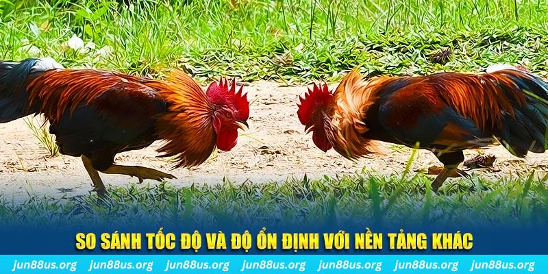 bk888 đá gà hôm nay