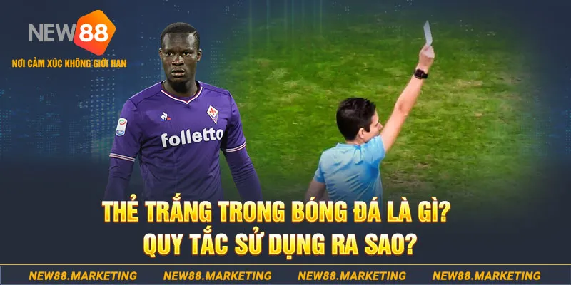 bk888 gà chọi mộc hóa