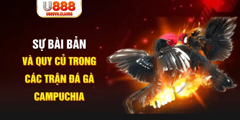bk888 YGR Điện Tử