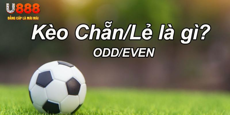 bk888 đăng nhập poker hôm nay