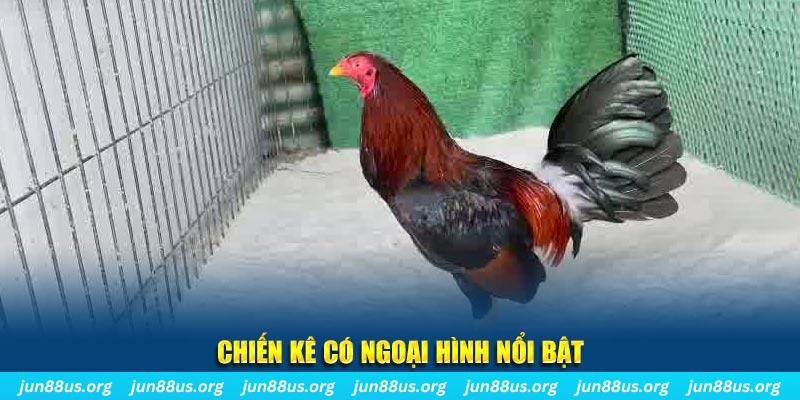 bk888 chạy quảng cáo cho game bài bị phạt như thế nào