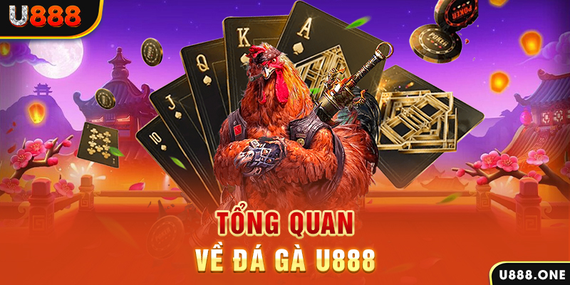 bk888 ILOVEU Điện Tử