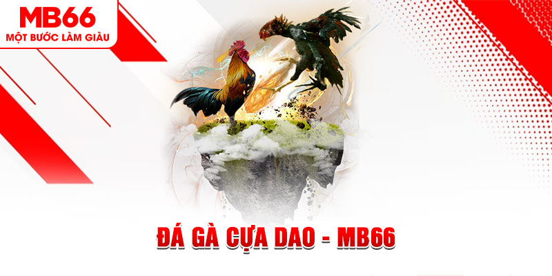 bk888 đá gà sv388 gold