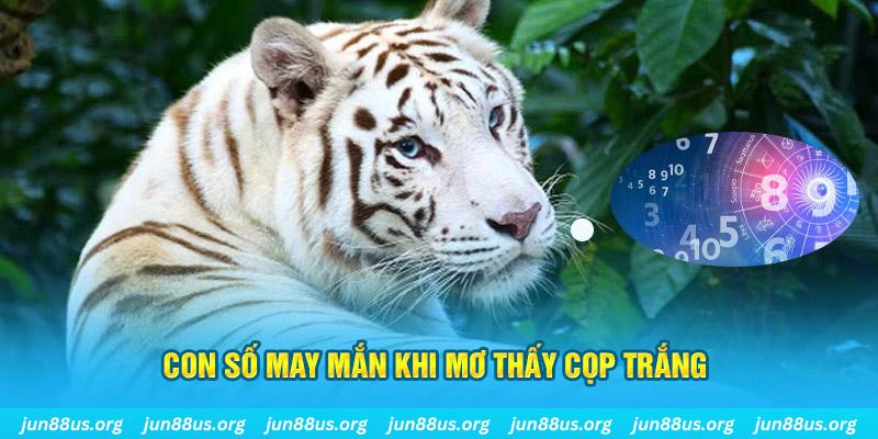 bk888 đá gà trực tiếp 88